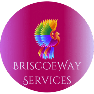 BriscoeWay_new_68b7410125fac